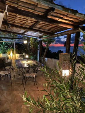 La genziana Parco Bordila Tropea Parghelia